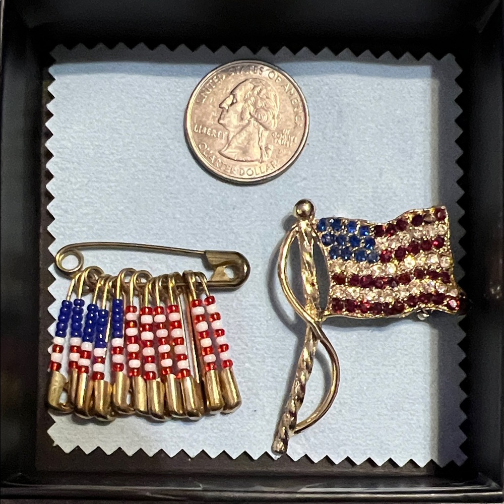 Patriotic Flag Brooch and Pin Set